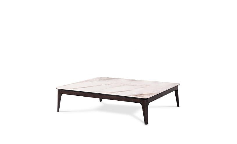 رایان 120 ( صفحه سرامیک ) | Rayan 120 - تصویر 3